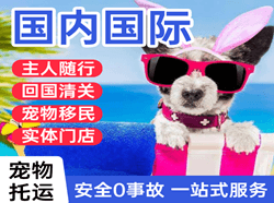 凤凰航空空运国际宠物托运 【国